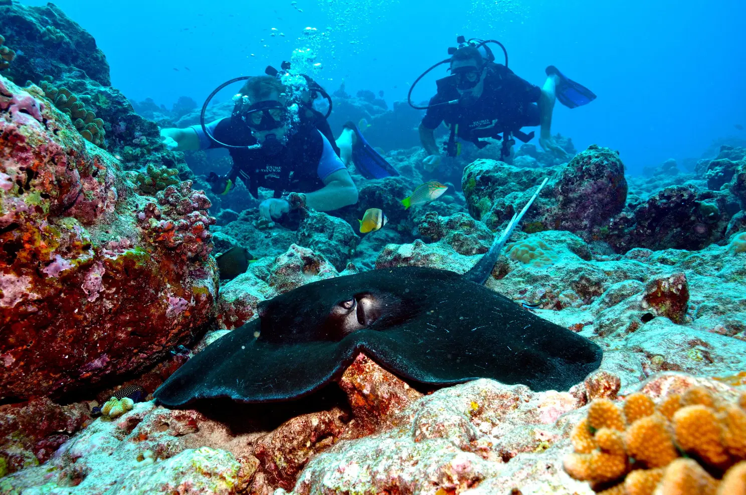 Cultural Immersion - Image 3